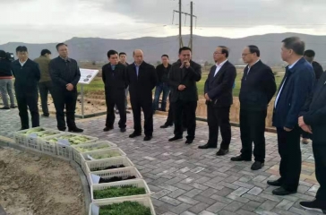 福建省副省長鄭建閩一行調(diào)研甘肅臨洮超大智慧農(nóng)場
